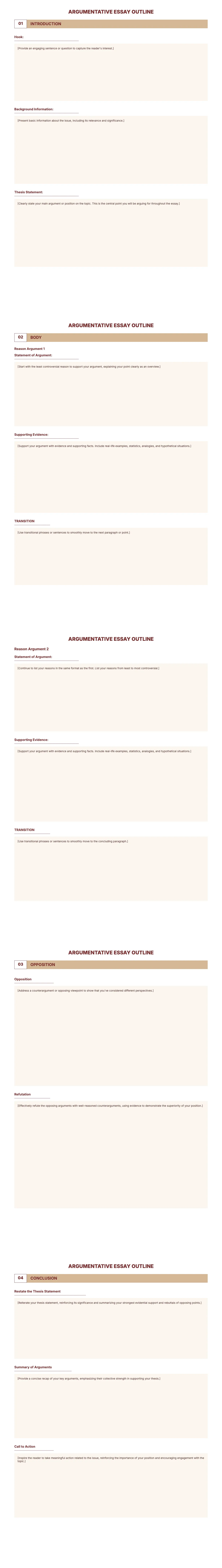 Argumentative Essay Outline Template