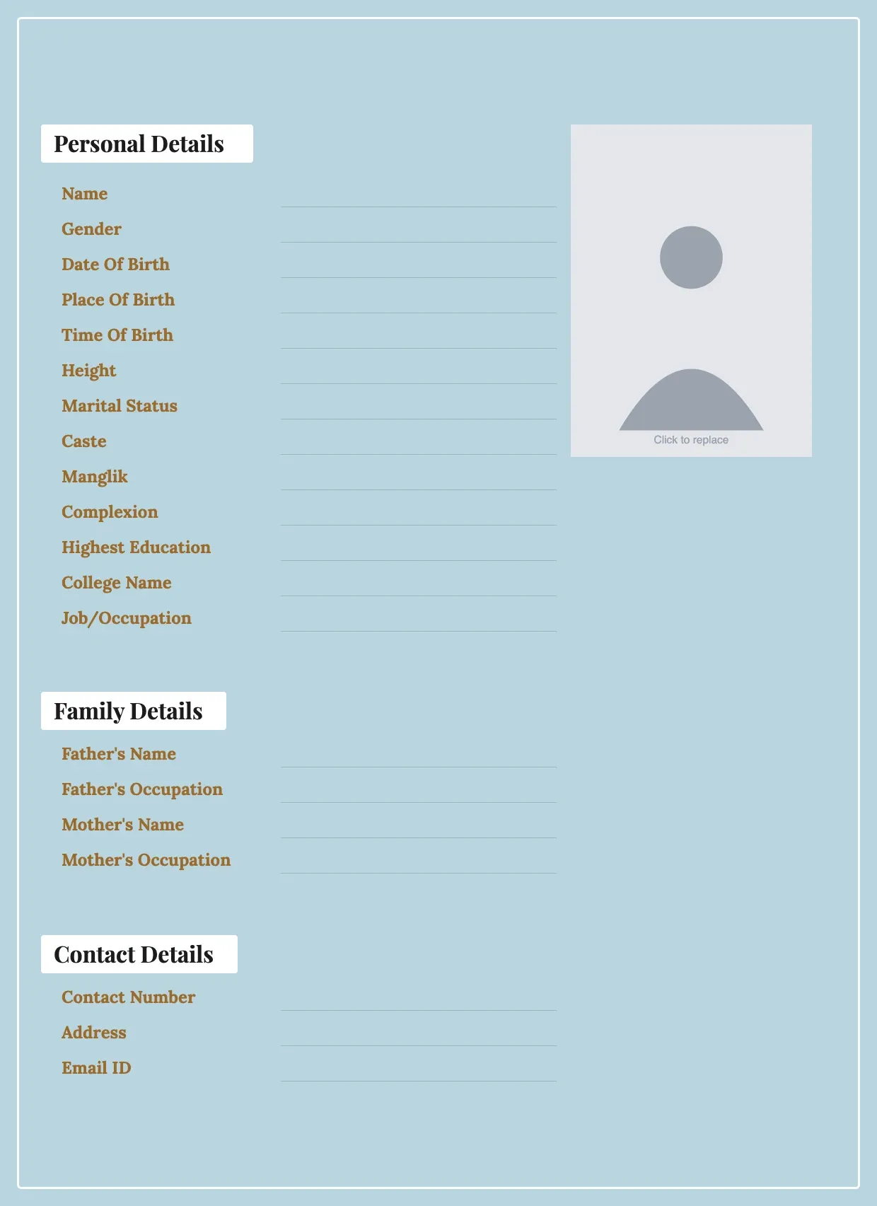 Biodata For Marriage Template