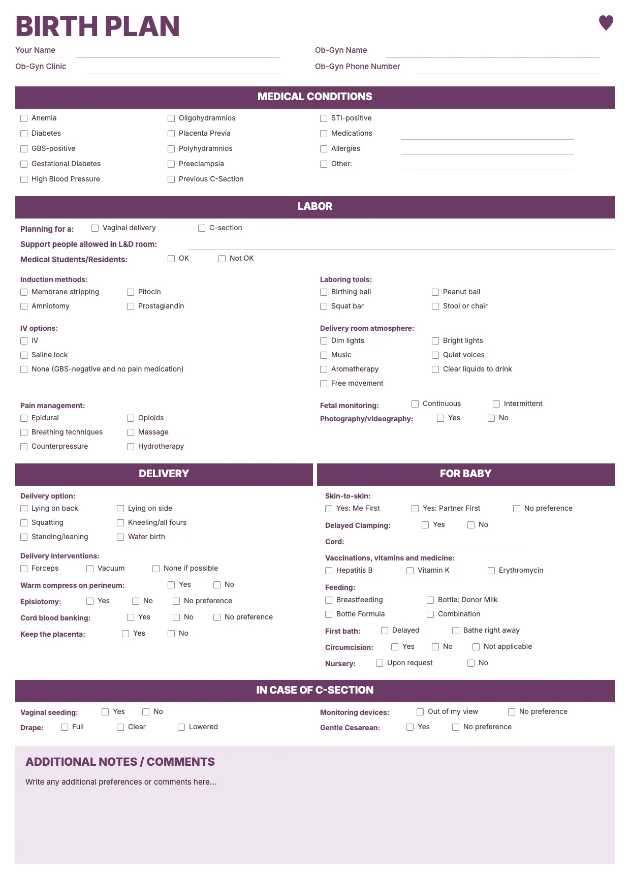 Birth Plan Template