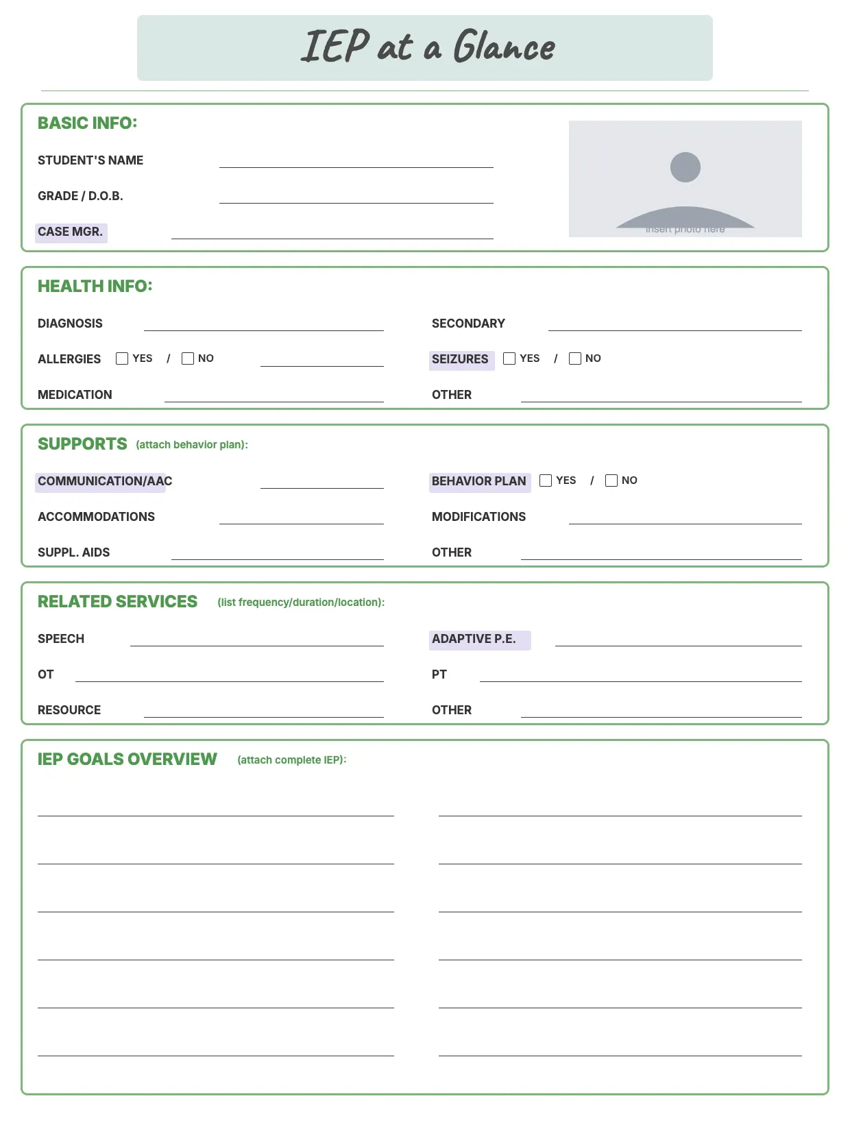 IEP At A Glance Template